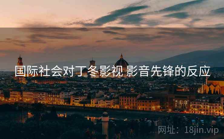 国际社会对丁冬影视 影音先锋的反应