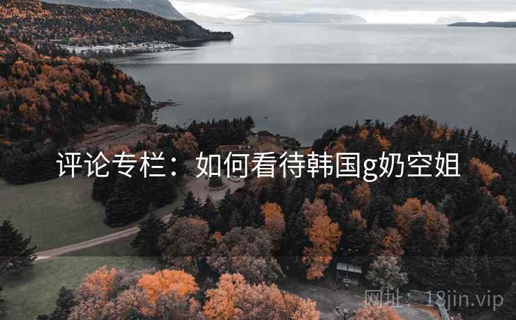 评论专栏：如何看待韩国g奶空姐