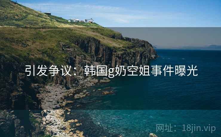 引发争议：韩国g奶空姐事件曝光  第2张