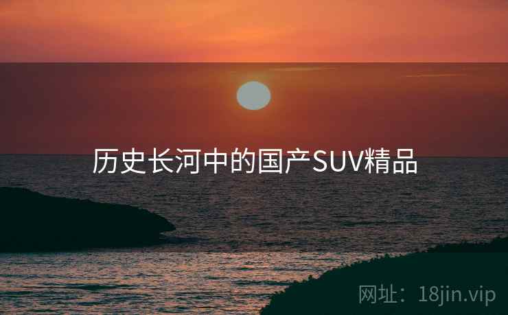 历史长河中的国产SUV精品 第2张 历史长河中的国产SUV精品 第2张